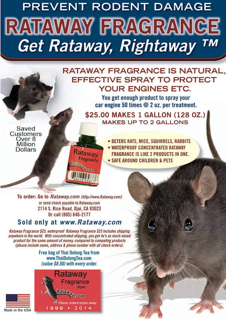 Rataway Fragrance Is The Answer To Your Rodent Problem