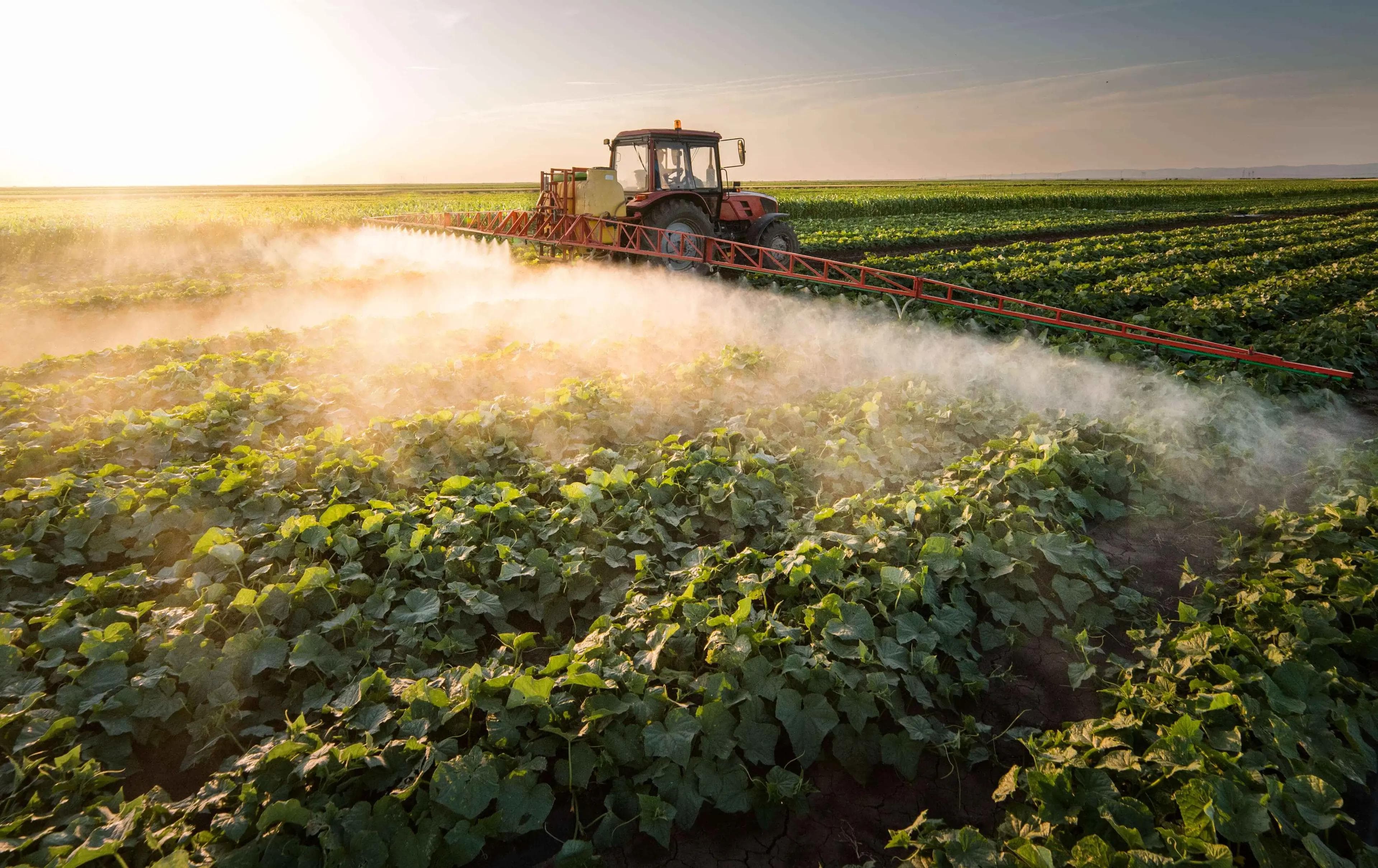 Farm sprayer spraying rows of crops