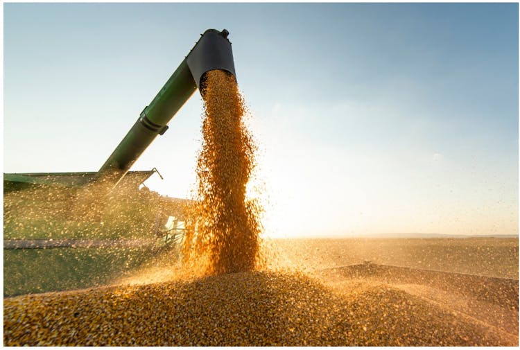 Efficient Grain Handling: When Time Equals Money