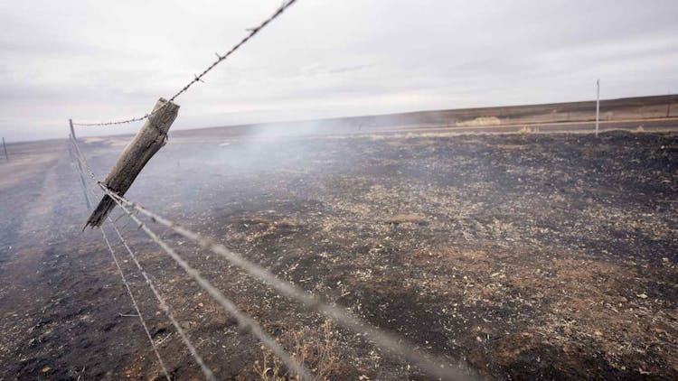 Panhandle Wildfire Ag Losses Surpass $123 Million, Costliest in State History