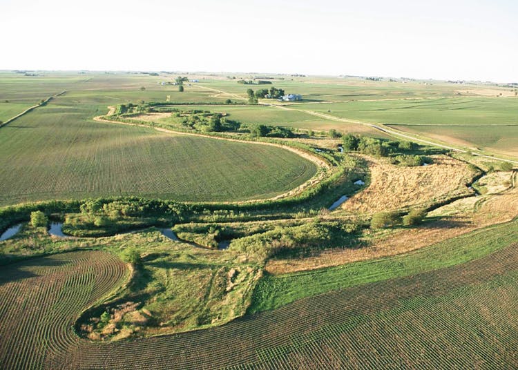 New Strategies Can Help Prevent Soil Runoff While Maintaining High Yields