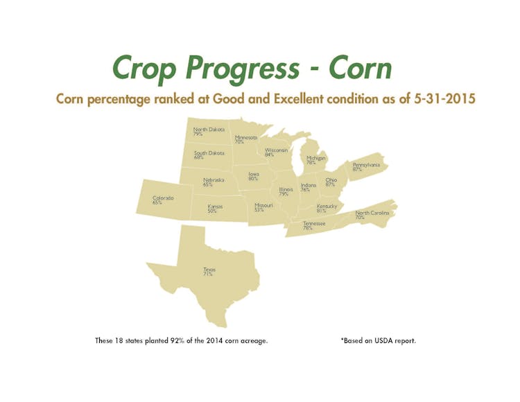 Crop Progress Report as of 5-31-2015