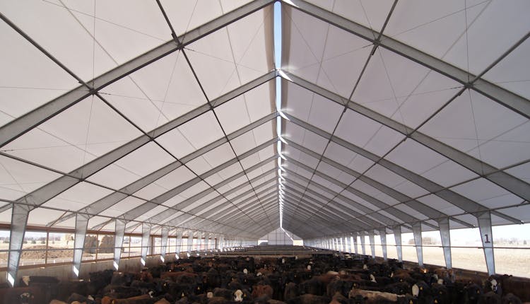 Legacy Offers Tension Fabric Buildings