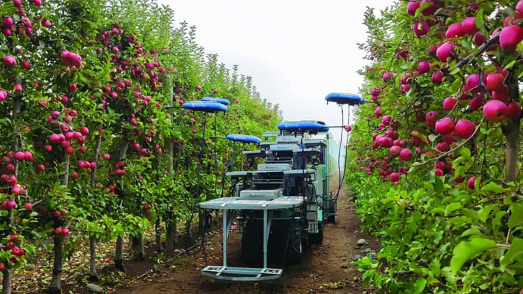 Harvesting the Future