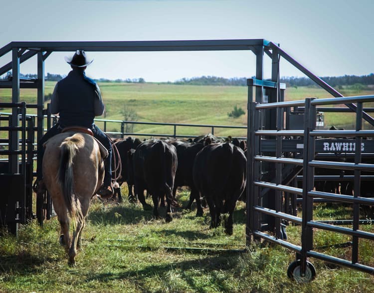 Revolutionizing Livestock Handling