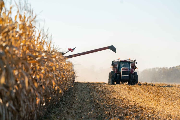 Boost Yields With Smart Nutrients
