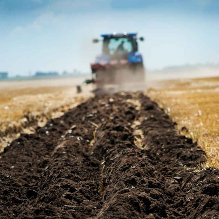 Regional Equipment Marketplace | April 2025