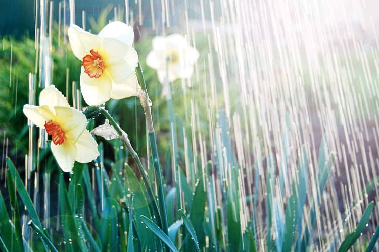 ‘BRACE’ Yourself for May