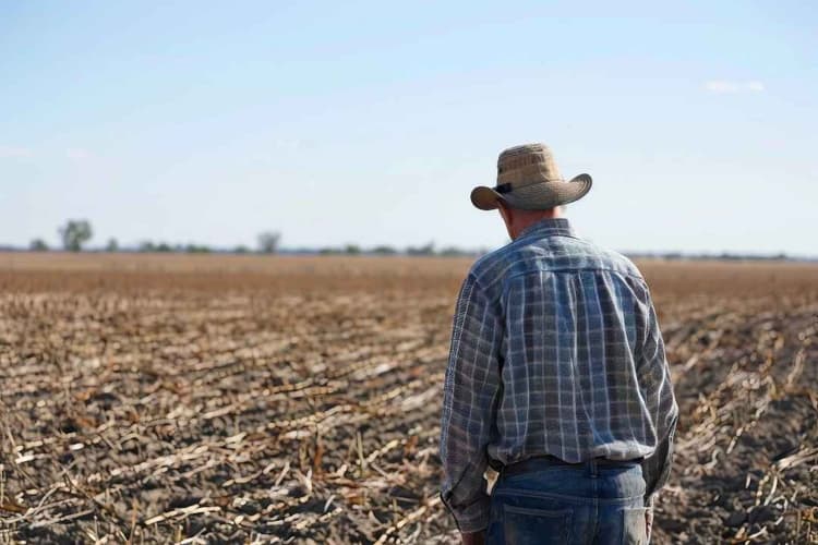 Support for Farmers Starts with Mental Health