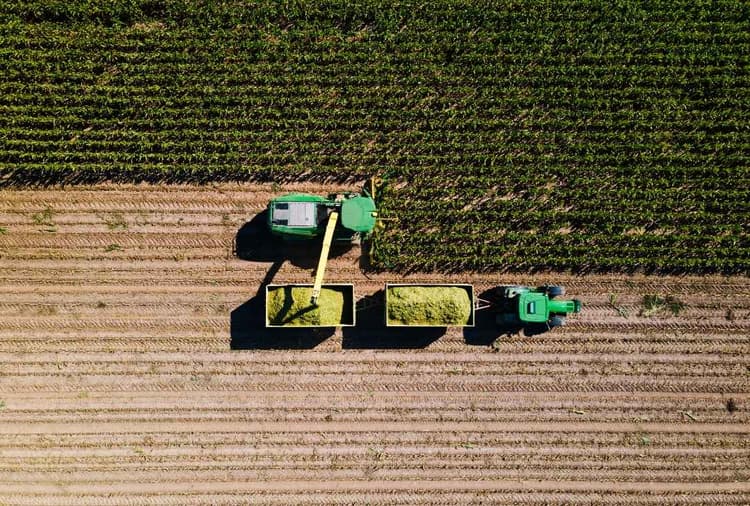 Corn, Soybeans and the Gamble