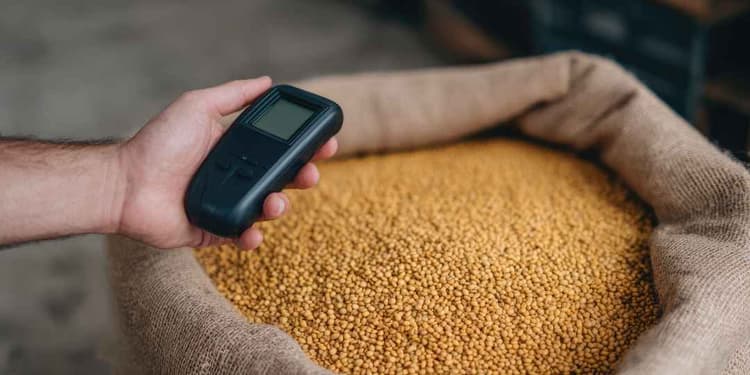 Grain Gadgets