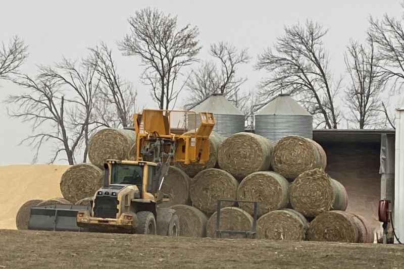 Bale Processors Handle Tough Conditions