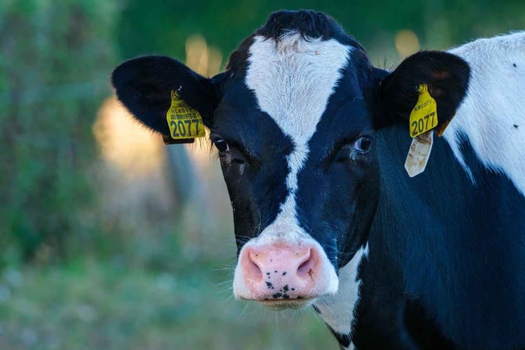 The Dirt | April 2026 Agriculture News