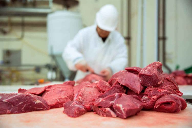 USDA Launches Small Processors Action Plan and Expands Funding