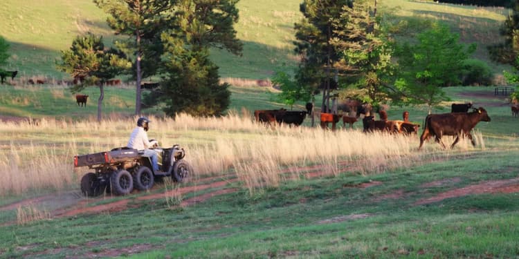 Real-World Performance on Working Land