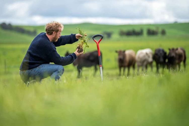 USDA Announces Regenerative Feedstock Rule Following Executive Order