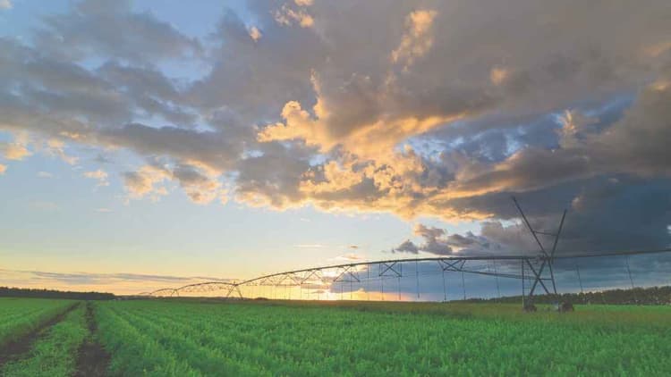 Irrigation Upgrades That Cut Water Use