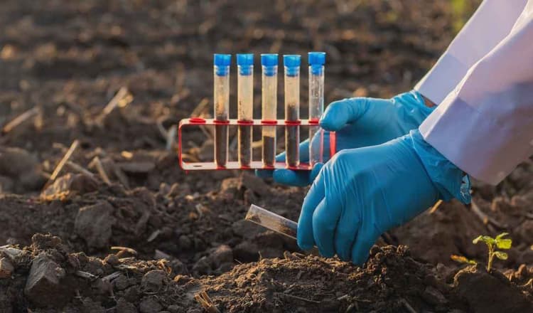 Post-Harvest Soil Management & Fall Fertility