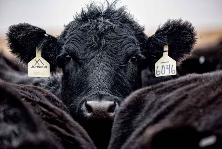 USDA Awards $26.5 Million for Value-Added Agriculture