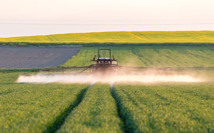 Starter Fertilization Sometimes Boosts Corn Yield