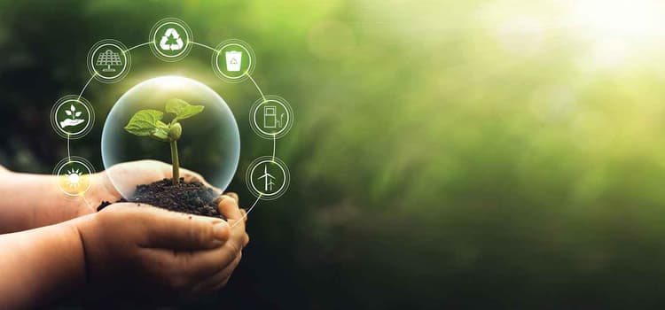 Farmers Hot Line's Path to Sustainability