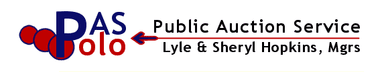 Public Auction Service