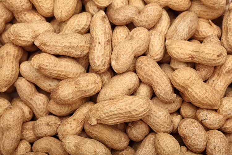 USDA Implements New Farm Bill Provision for Peanut Producers