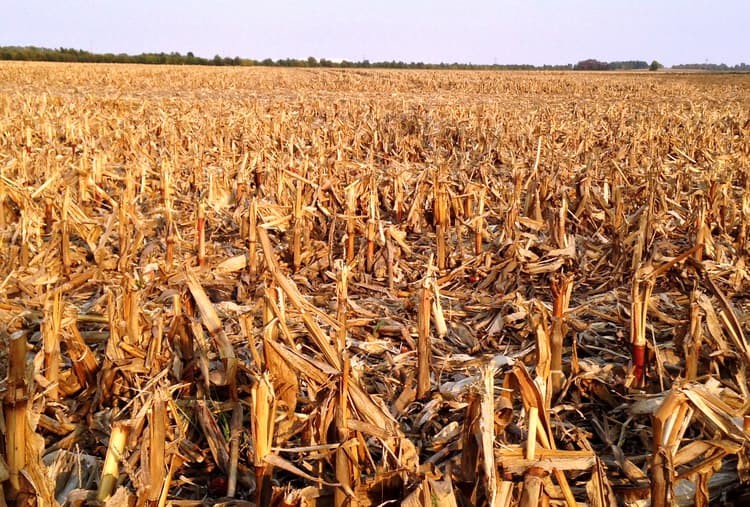 Purdue University: New Study Shows Potential Growth in Biofuels From Corn Stover