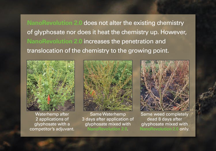 Revolutionary Chemistry Tackles Herbicide-Resistant Weeds