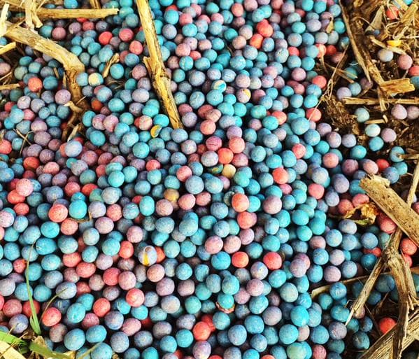 Farm Life Why Do Farmers Use Seed Treatments? Farmers Hot Line