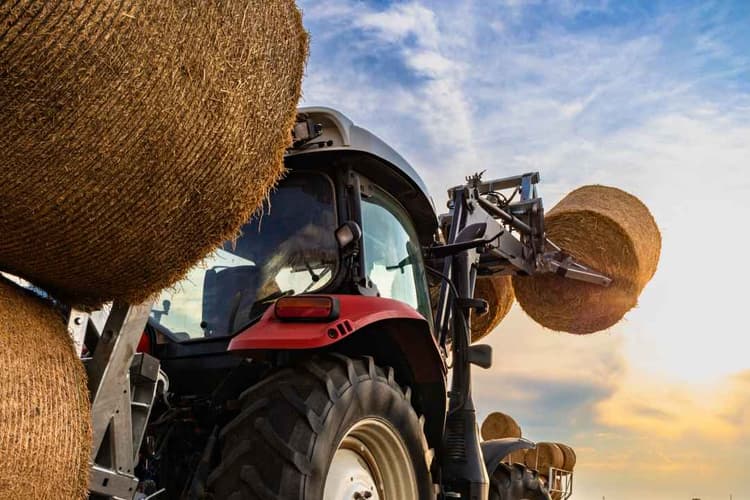 Regional Equipment Marketplace | November 2025