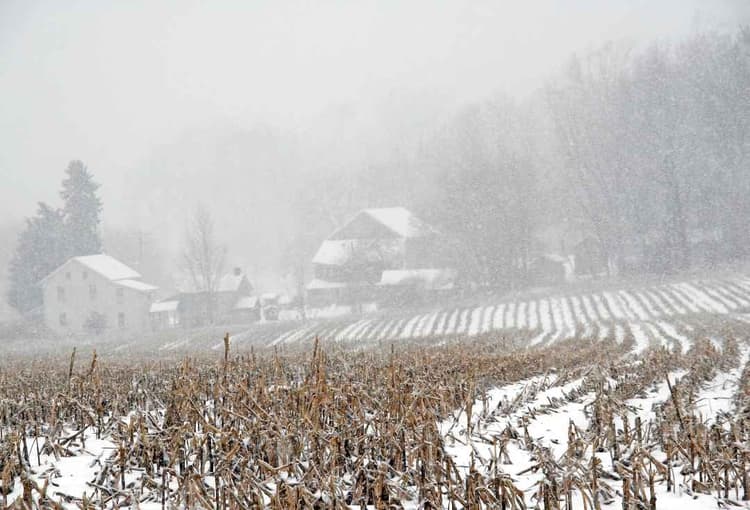 Ice, Snow and the Aftermath: Navigating Farm Losses After Winter Storms
