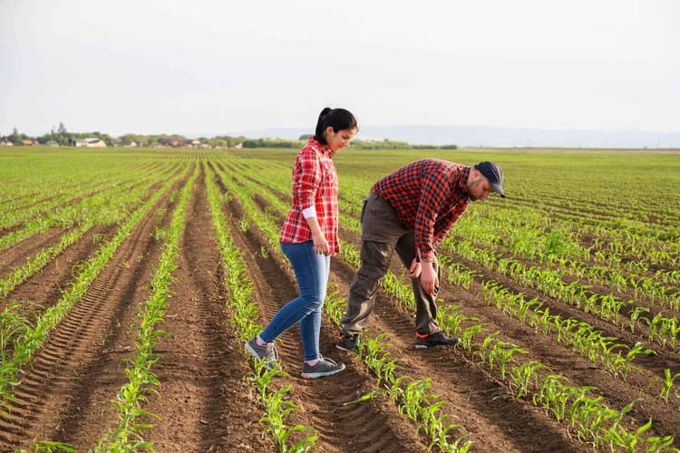 Supporting Farmers Beyond the Field