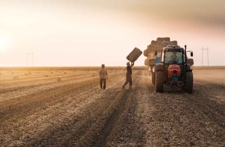 Hay, Bales & Better Data