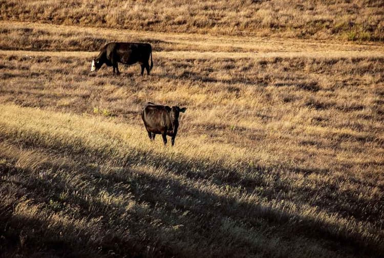 USDA Announces $1.8 Billion in Conservation Payments