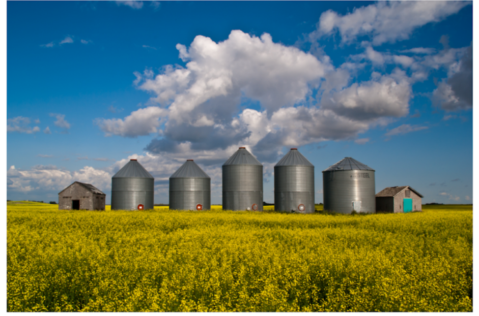 Proven strategies to prevent grain bin accidents