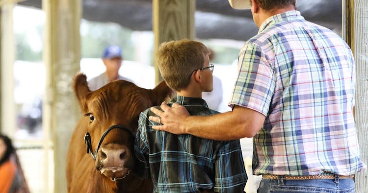 County Fairs, 4-H & the Promotion of Agriculture