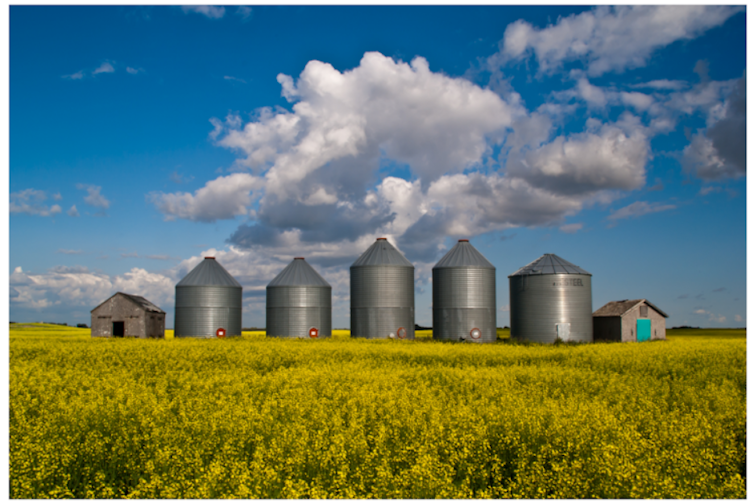 Grain Bins: On-farm bins are the smart grain marketing investment