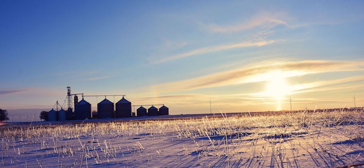 Extreme Winter Temperatures May Not Be Enough to Rid Pests