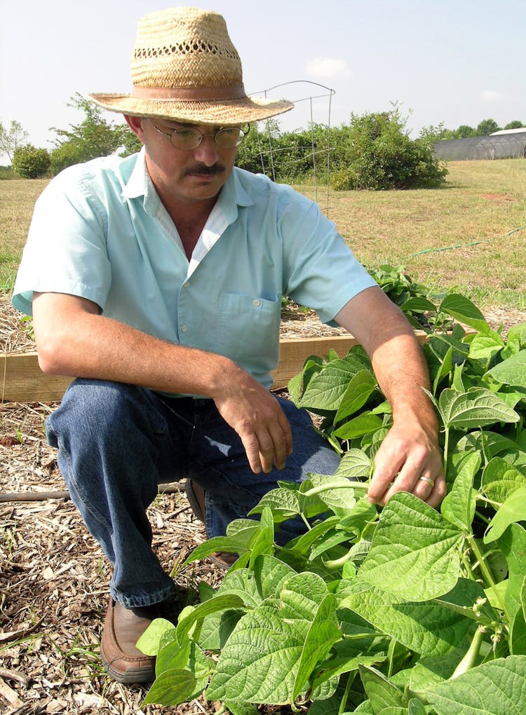UGA Expert Offers Advice For New Small-Scale Farmers