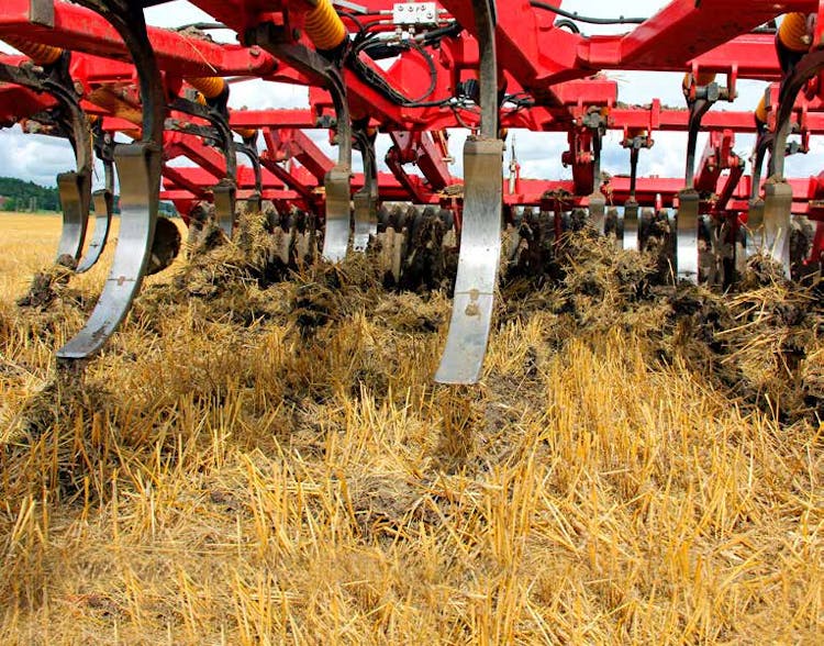 Spring Versus Fall Tillage - Which is Better for You