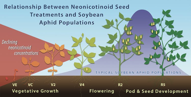 Purdue University: Publication Recaps Academic Research on Neonicotinoids with Soybean Seeds