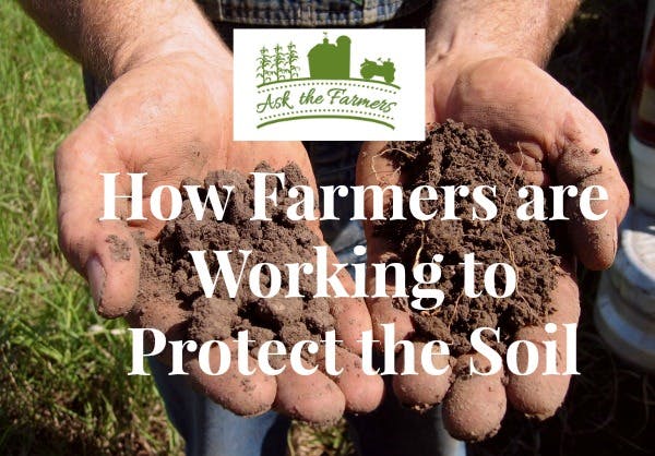 Farm Life: International Year of Soils